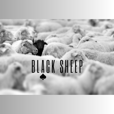 Black Sheep - Single