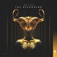 The Reckoning - Single - Meyer