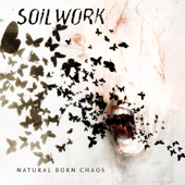 Natural Born Chaos - Soilwork Cover Art