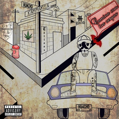 Camina con los Vergas - Single