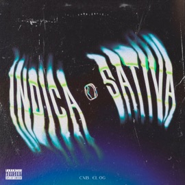 Indica o Sativa El OG & CXB