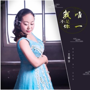 我不是你唯一 - Single