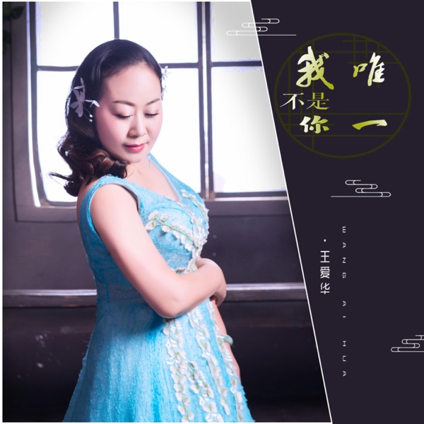 我不是你唯一 - Single
