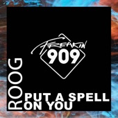 Put a Spell On You (Extended Mix) artwork