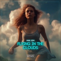 Flying In the Clouds - Single - Mak Sim