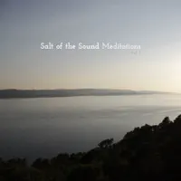 Free (Instrumental) — Salt Of The Sound