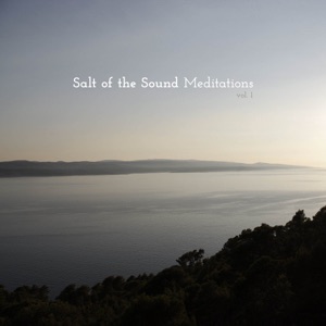 Meditations, Vol. 1
