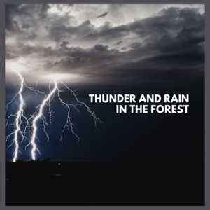 Thunder and Rain in the Forest (Pt. 01)