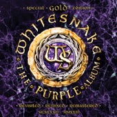 The Purple Album: Special Gold Edition artwork