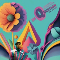 One Question (Jim Sharp Remix) - Single - Schmiddlfinga, DJ Robert Smith, Slimkid3 & Jim Sharp