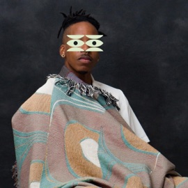 The Will (feat. Anywaywell) Phil Mitch