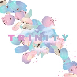 Trinity RiVa & Co.
