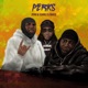 Perks feat Kamali Rager LiTek Single