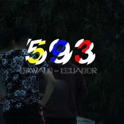 593 - Single