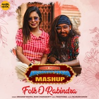 Fande Poriya Krishnopokkho Mashup (From 
