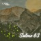 Salmo 63 artwork