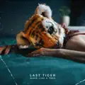 Last Tiger