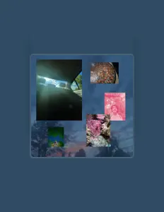 收听 Niko from Ether、观看音乐视频、阅读小传、查看巡演日期等 ！