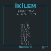 Burnumda Tütüyorsun (İbrahim Erkal Hürmet 2) artwork