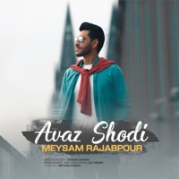Avaz Shodi - Single - Meysam Rajabpour