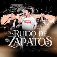 El ruido de tus zapatos (feat. Sierreño Nueva Historia & Harvey Valencia) [Radio Edit] - Single - Grupo la Exigencia