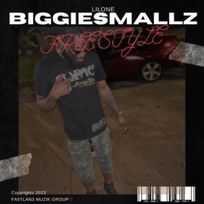 FreeStyle (feat. Versa Beatz) - Single