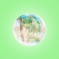 Palms - Single - Flandrs