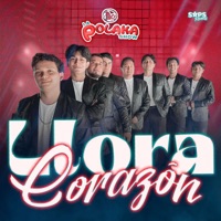 Llora Corazón