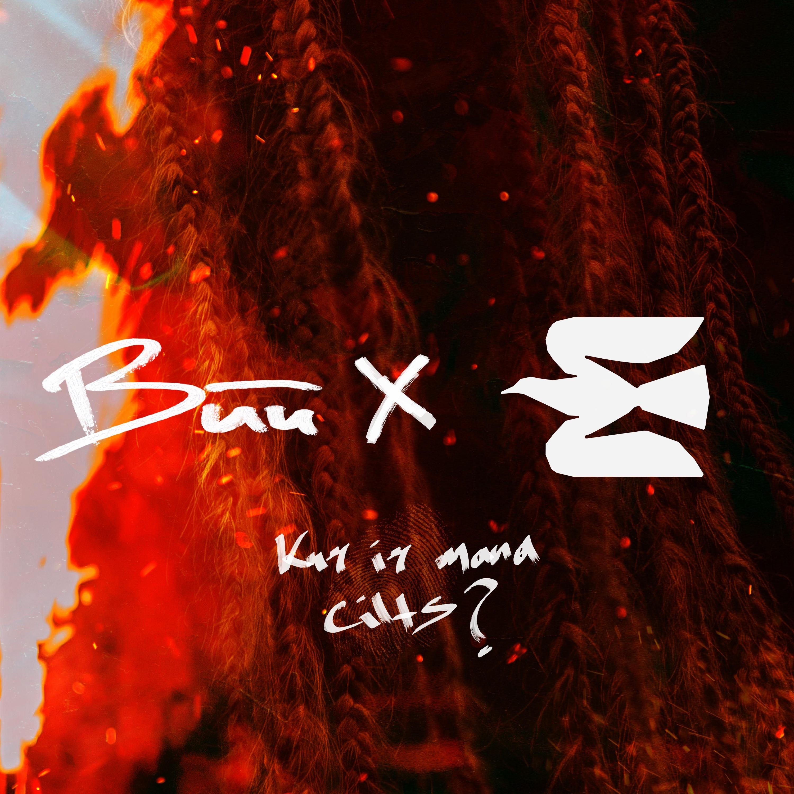 Kur ir mana cilts? (feat. Edavārdi & Zen Paul) - Single