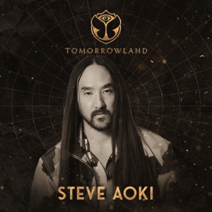 Tomorrowland 2022:  Steve Aoki at Mainstage, Weekend 2 (DJ Mix)