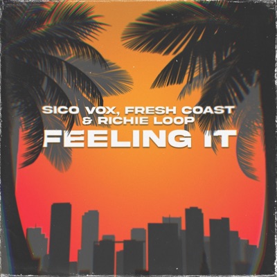Feeling It - Single