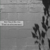 Hazreti Şahın Avazı song art