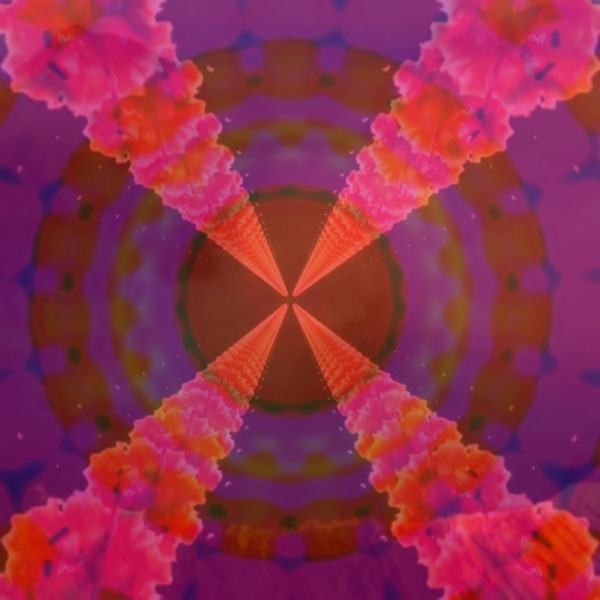 Satelite