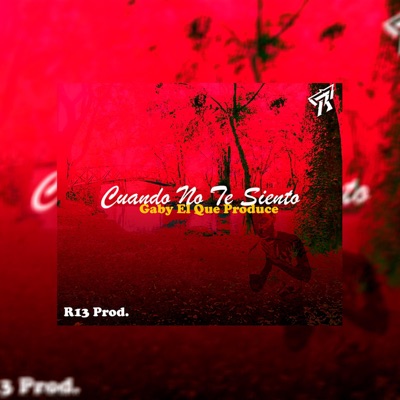 Cuando No Te Siento (feat. R13 Prod) - Single