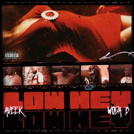 Lowkey (feat. Woda B) Aveek
