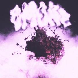 Smoke XanTrop