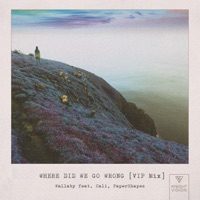 Where Did We Go Wrong (feat. Cali & PaperShapes) [VIP MIX] - Single - Wallaby
