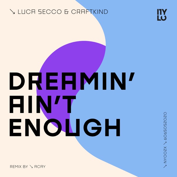 Dreamin' Ain't Enough - Single