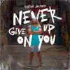 Never Give Up On You