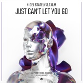 Just Can't Let You Go (Extended Mix) artwork