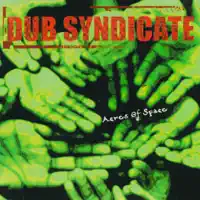Wake Dem Up — Dub Syndicate