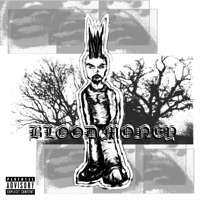 BLOOD MONEY (feat. Dxrkknght) - Single - Tryp Flo