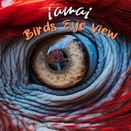 Birds Eye View Iamai