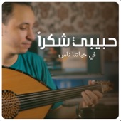 حبيبي شكرا - في حياتنا ناس artwork