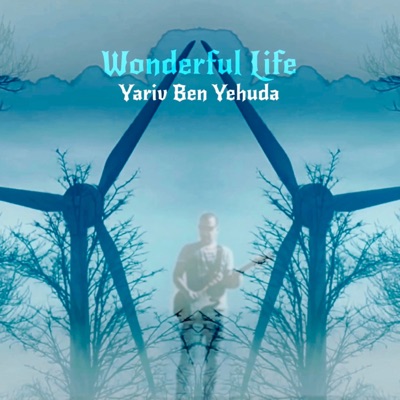 Wonderful Life - Single