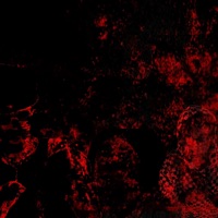 si le ponemo weno - Single - Borax & kuraimokha