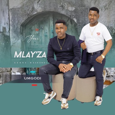 Umgodi - Single
