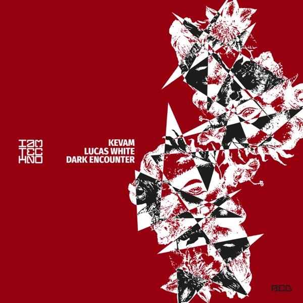 Dark Encounter - Single