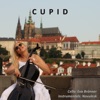 Cupid ( Instrumental Version ) - Single