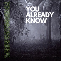 You Already Know (feat. The Fly One & Putter) - Single - Young Savages Fl